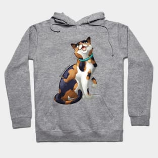 Calico Kitty Cat Hoodie